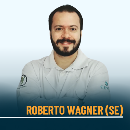 Roberto Wagner (SE)